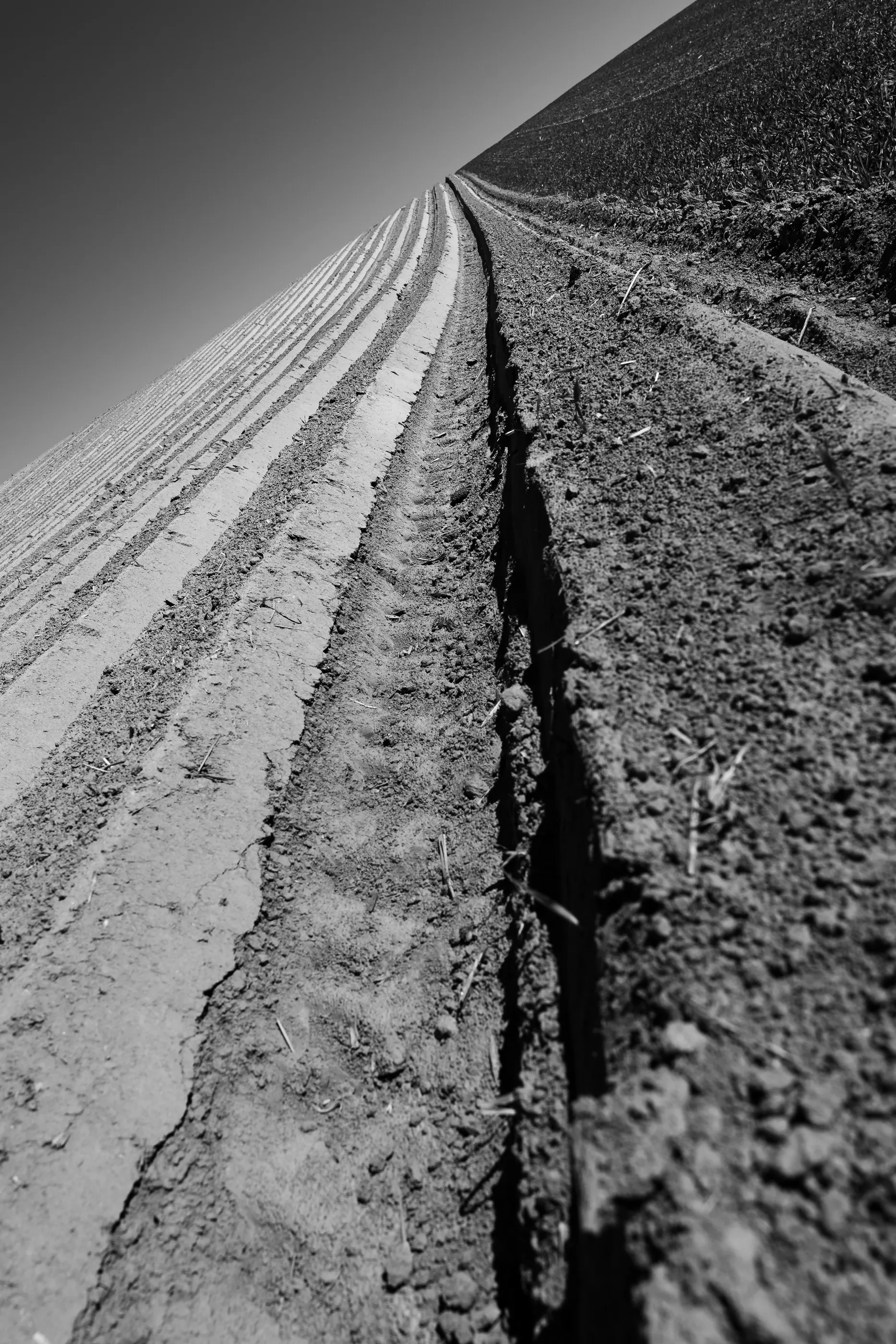 A plowed field's furrows climb steeply toward the horizon in black-and-white.