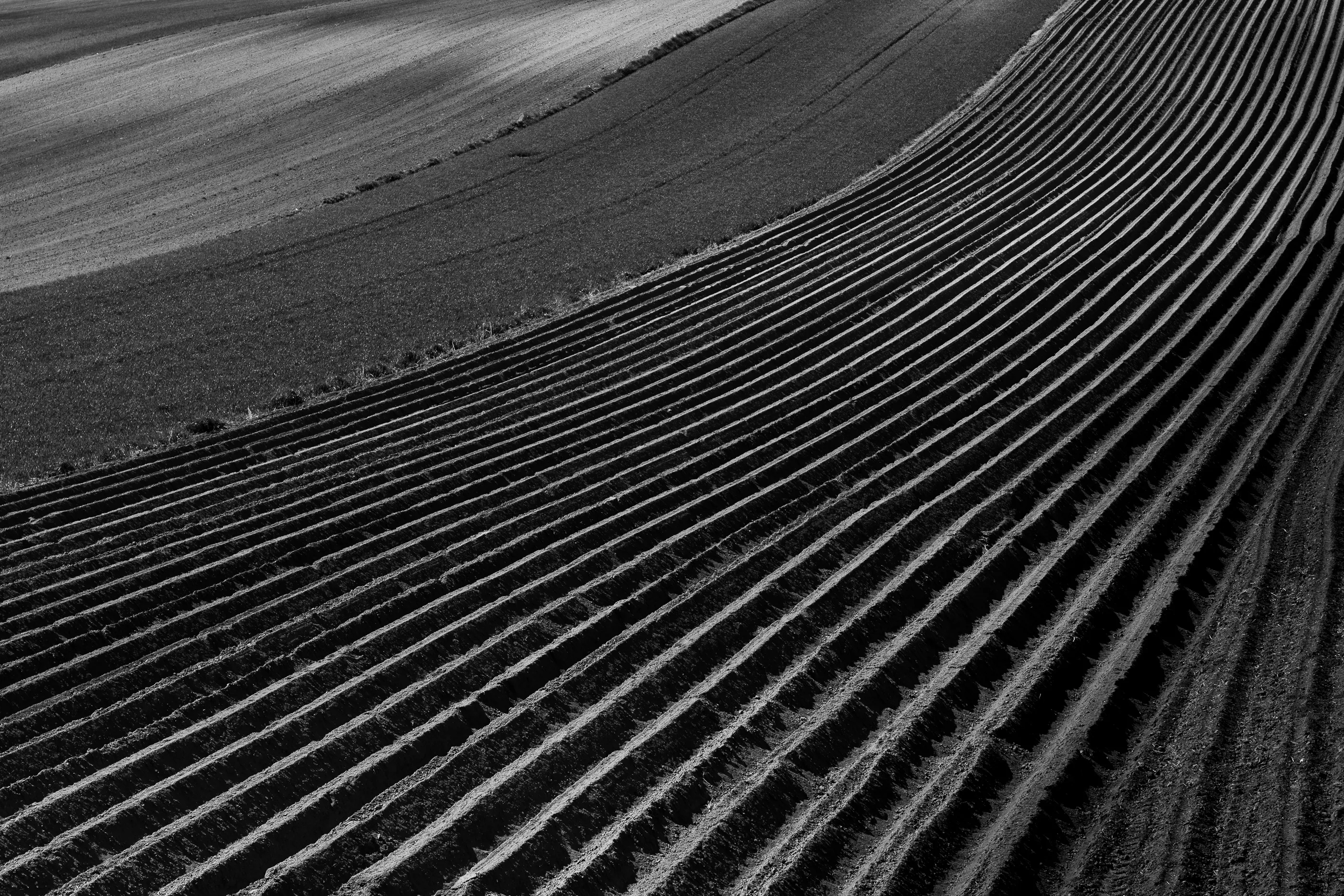 Black-and-white plowed furrows curve across rolling countryside near Kielce.