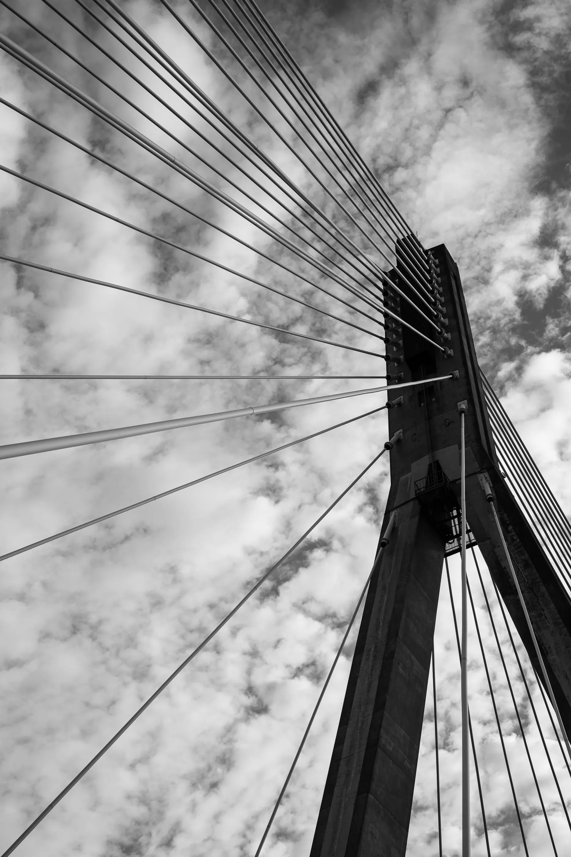 Cables fan out from a bridge pylon against a black-and-white cloudy sky.