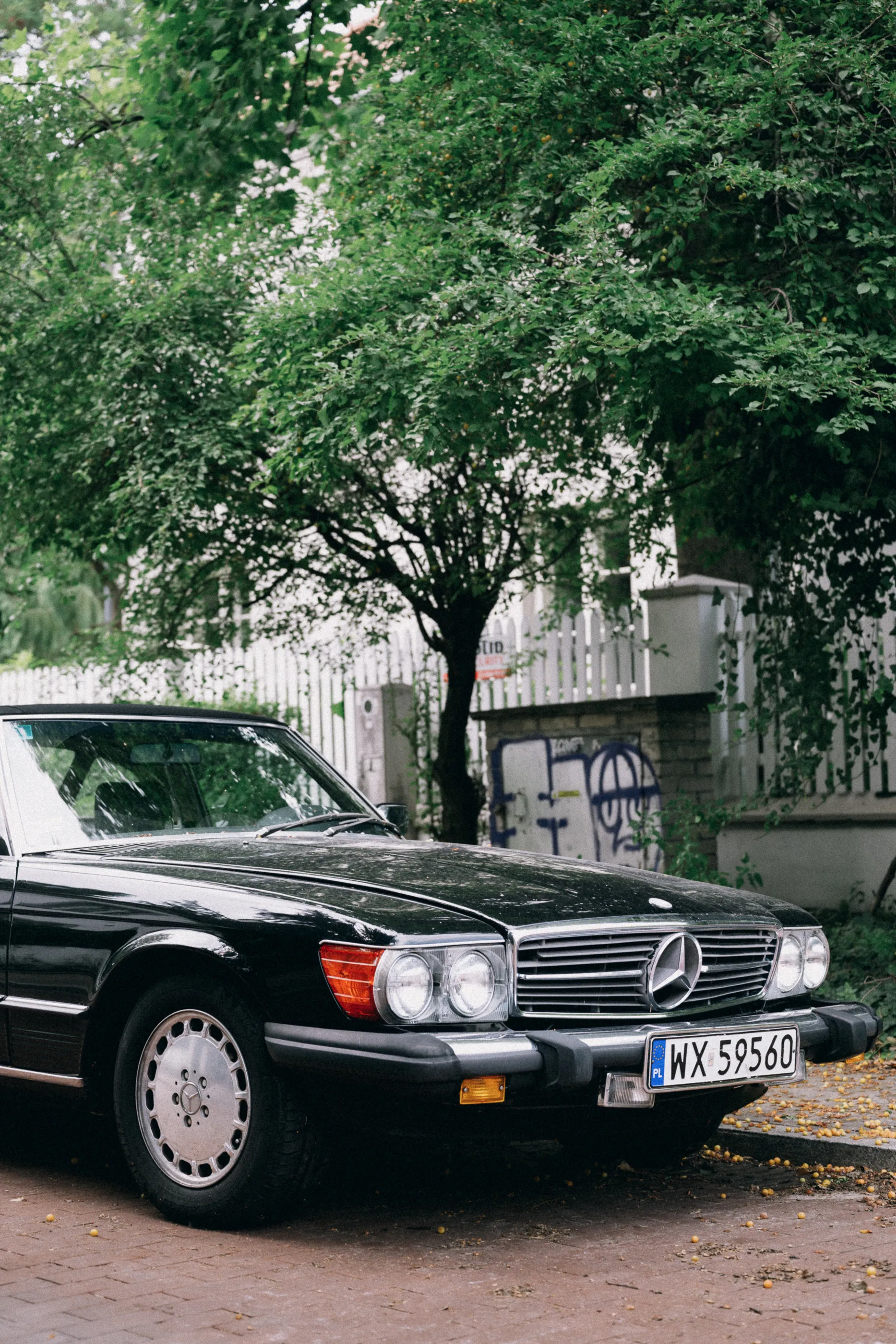 A vintage black Mercedes convertible sits parked beneath a tree beside a graffitied wall.